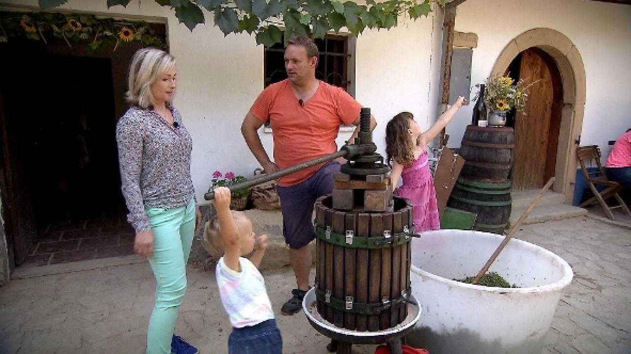 Za našima humny (Boleradice)