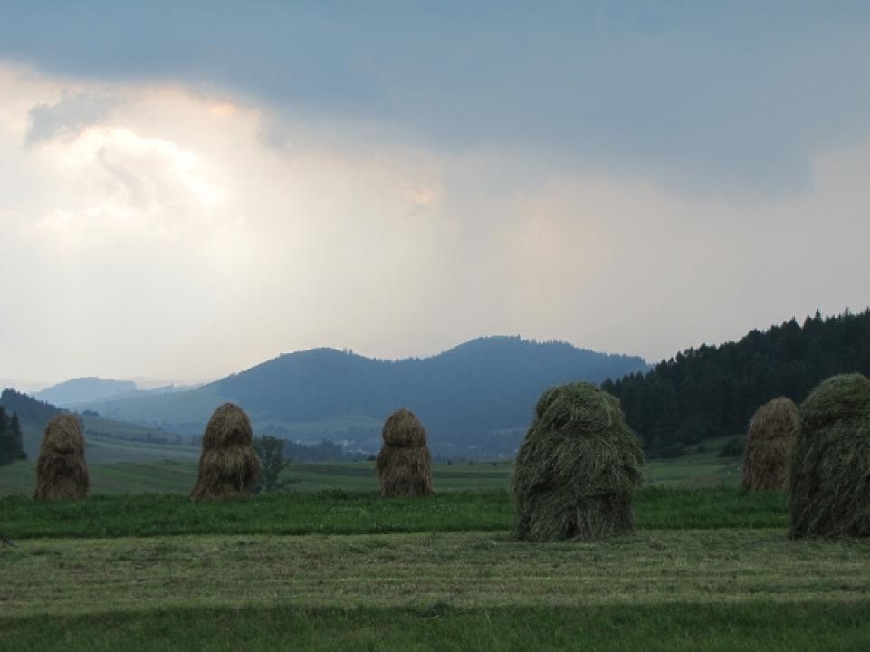 Divočina bez hranic (Pieniński Park Narodowy)