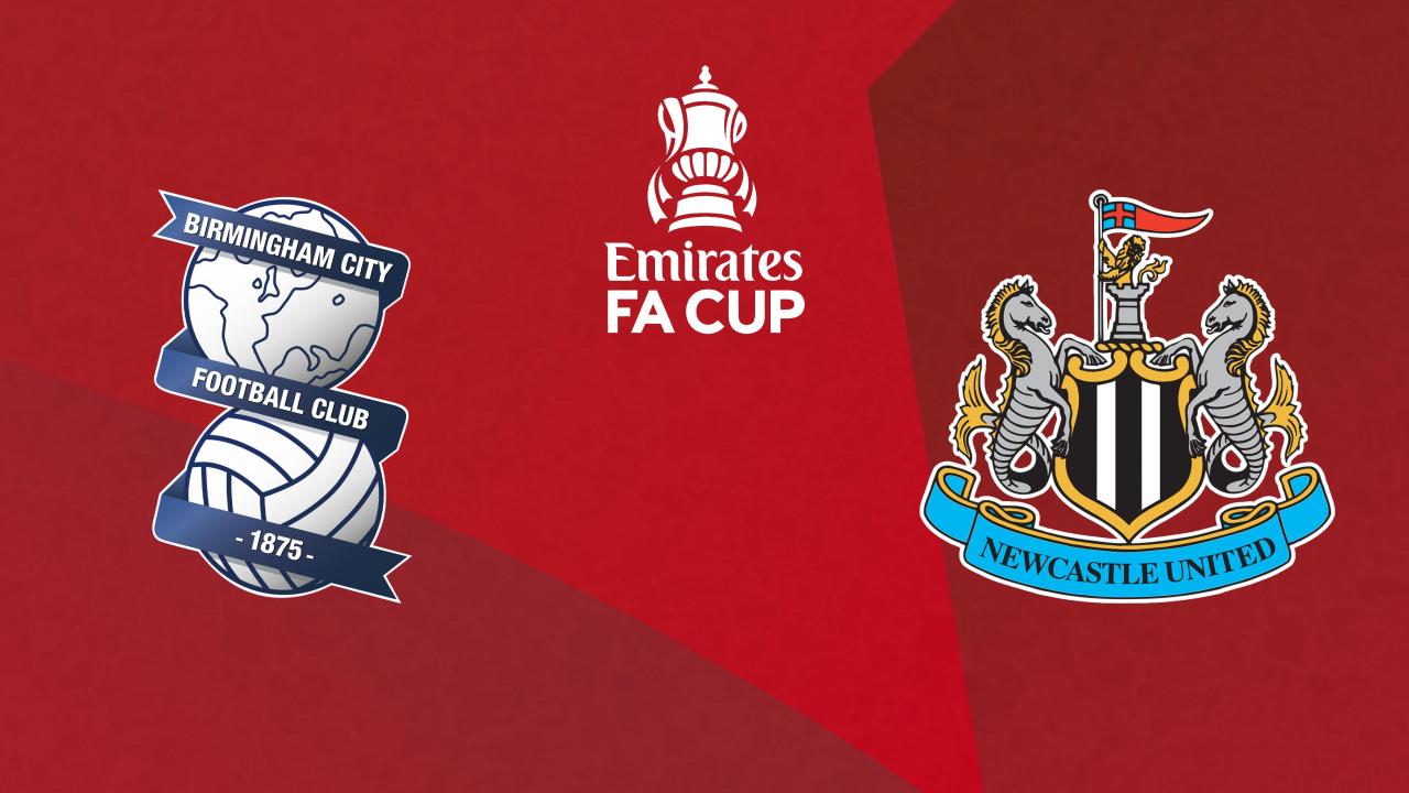 Birmingham City - Newcastle United