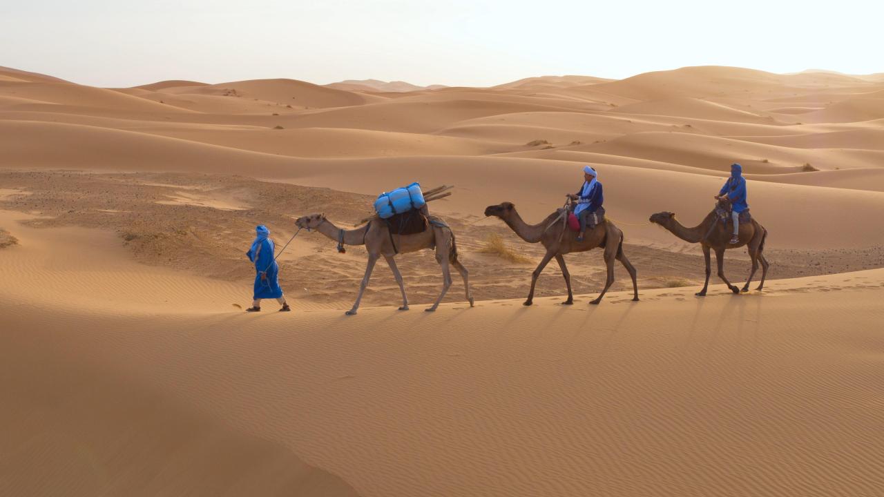 Afrika iz zraka: Kenija (dokumentarna serija)