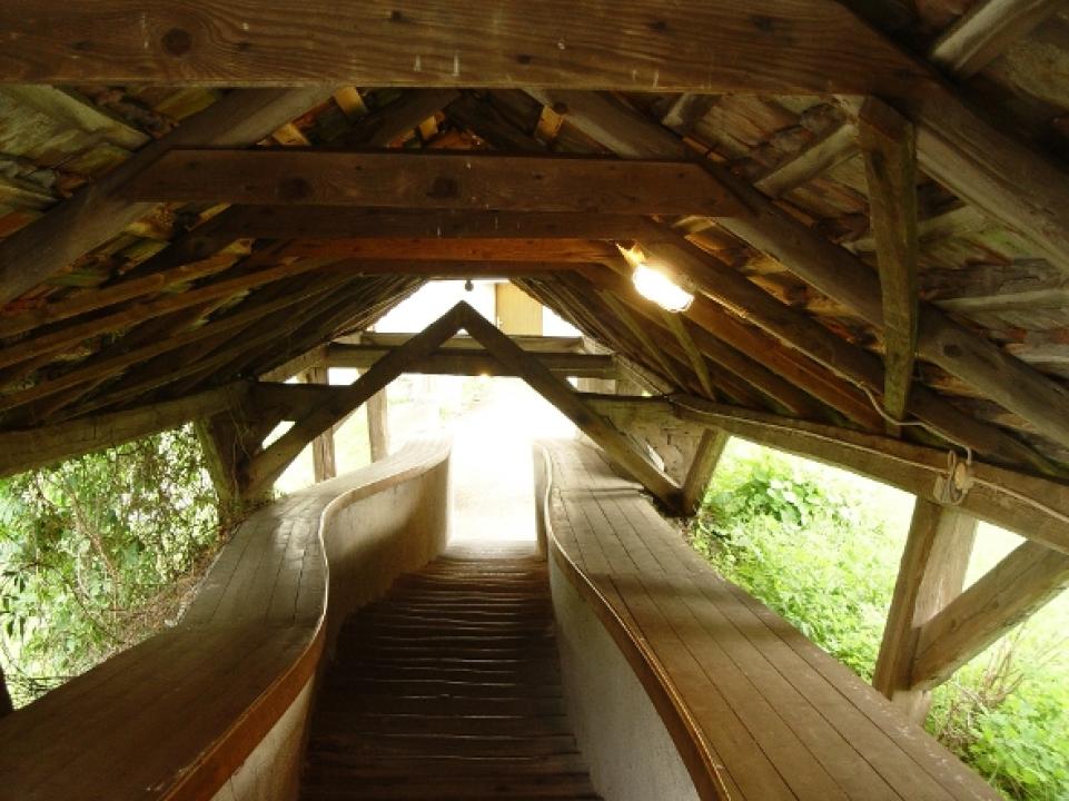 Divočina bez hranic (Nationalpark Thayatal)