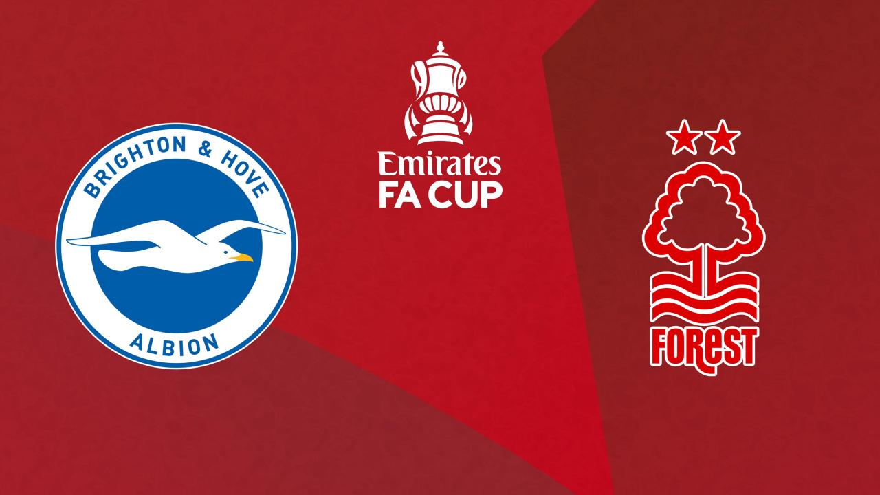 Brighton & Hove Albion - Nottingham Forest