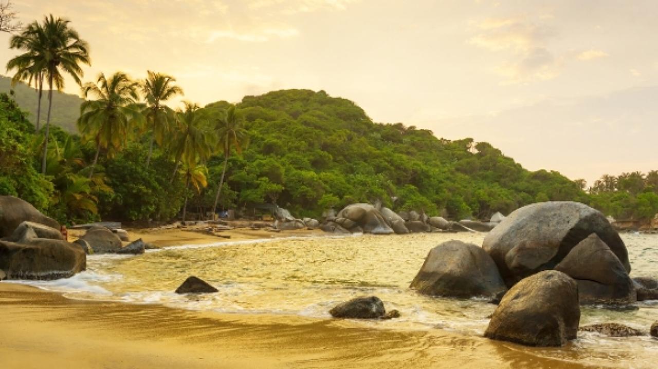 Tayrona: Prales