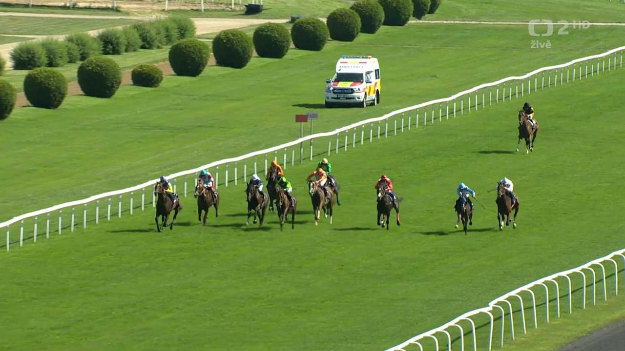Dostihy ČR 2025 (105. Westminster České Derby)