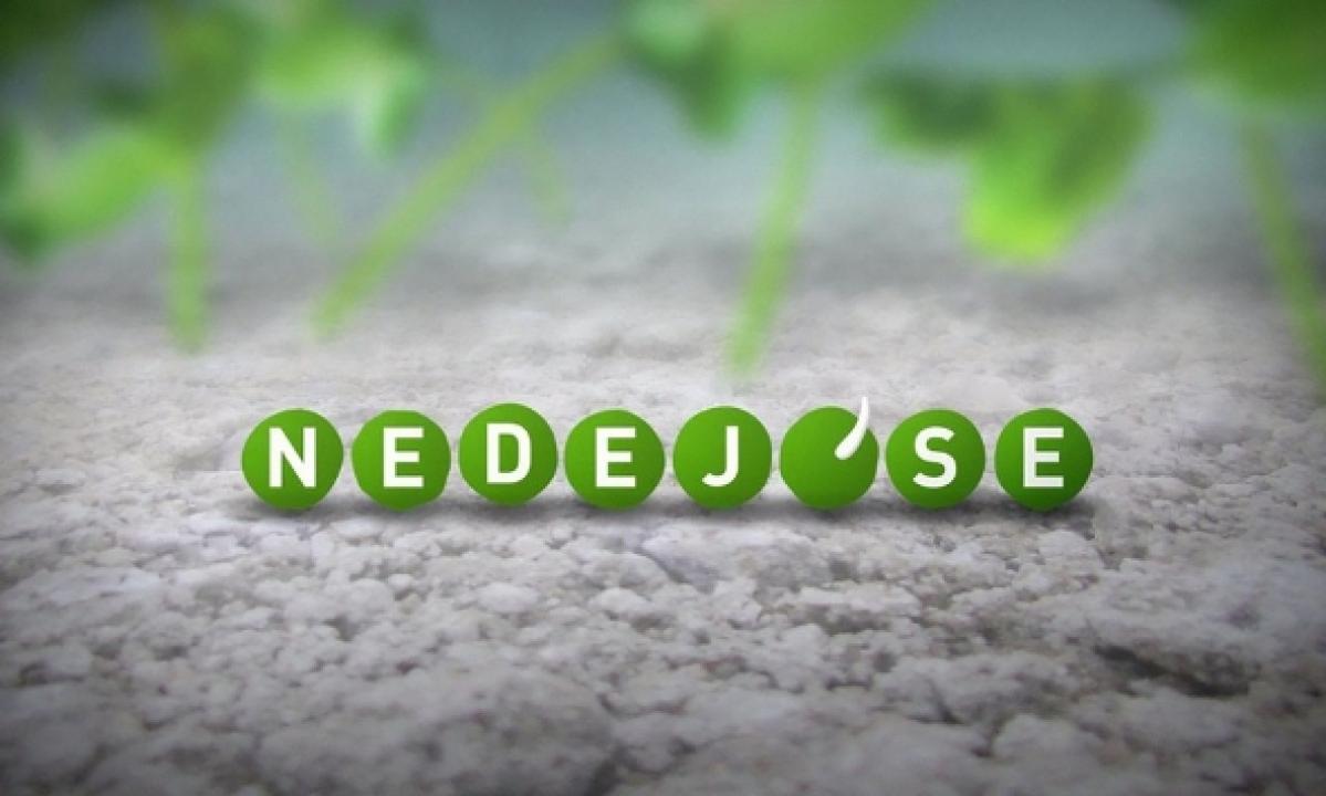 Chvála panelům