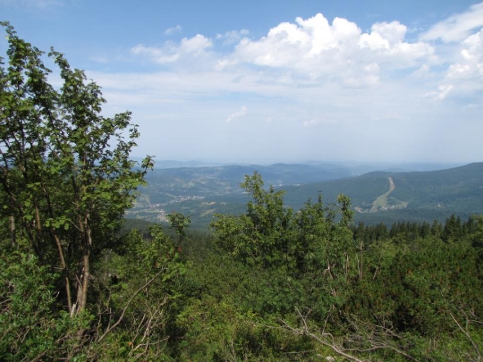 Divočina bez hranic (Babiogórski Park Narodowy)