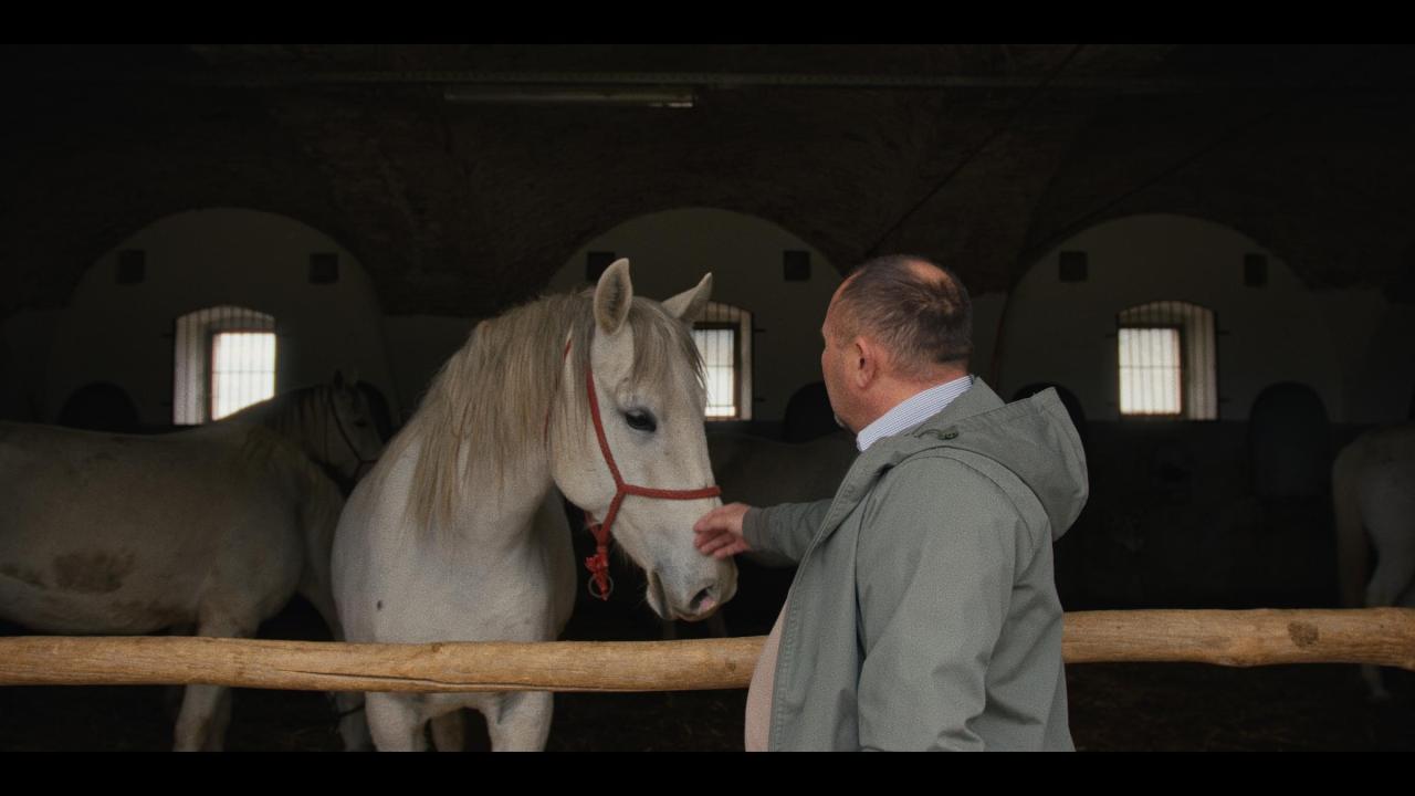 Povratak životinjama (12)