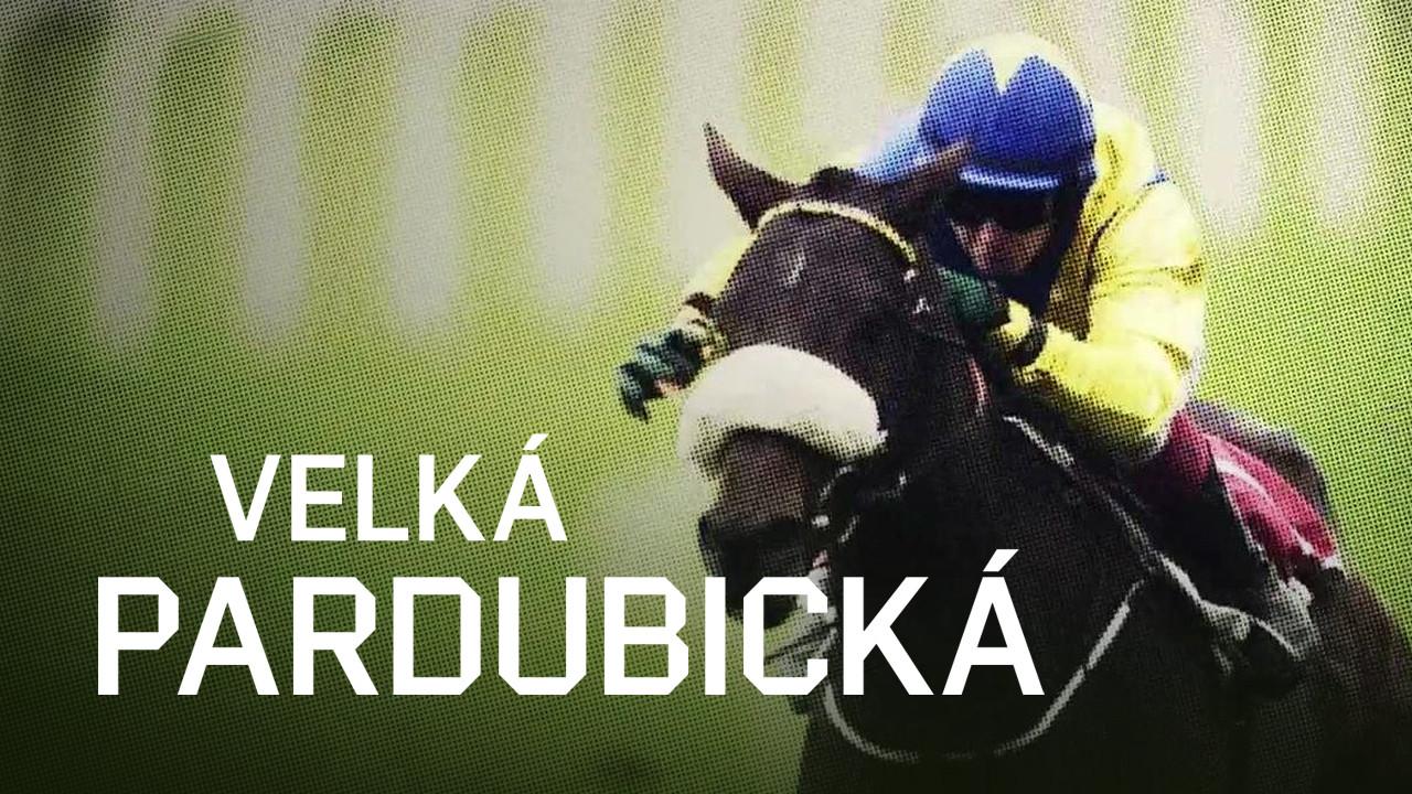 Velká pardubická 2025 (II. kvalifikace na 135. Velkou pardubickou se Slavia pojišťovnou)