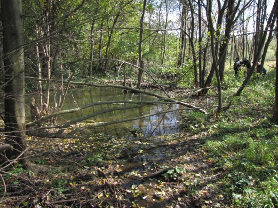 Divočina bez hranic (Magurski Park Narodowy)