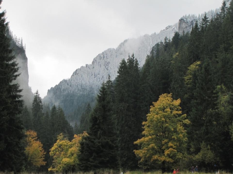 Divočina bez hranic (Tatrzański Park Narodowy)